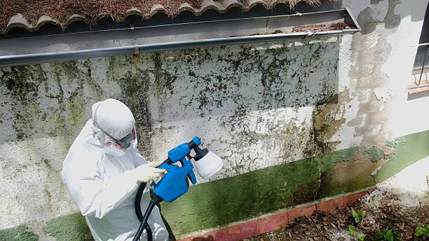Top rated local Mold Cleanup specialists in Jeffersonton, VA